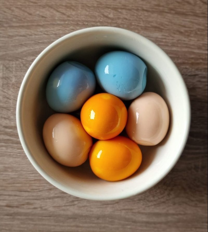 Œufs colorés oeufs colorés